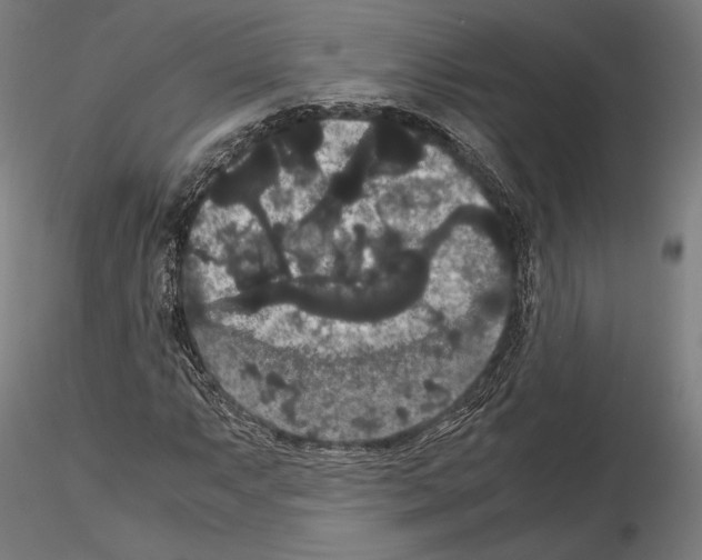 X0000114621063200912010956