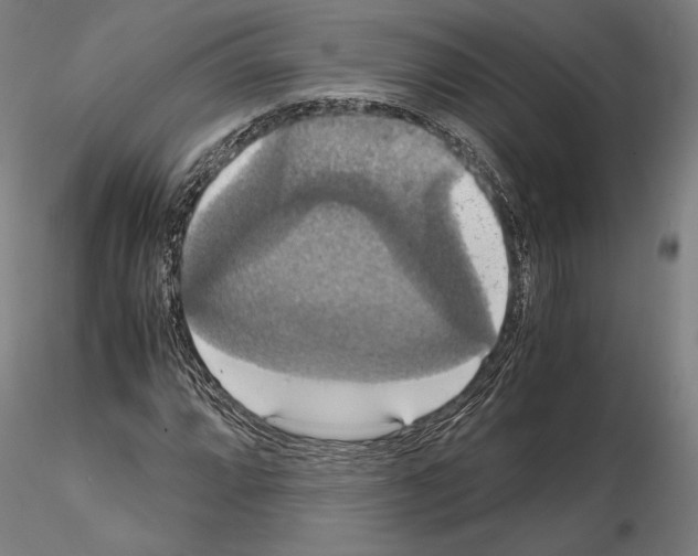 X0000114621064200912010956