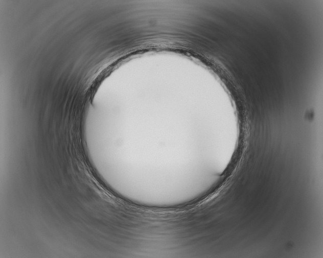 X0000114621065200912010956