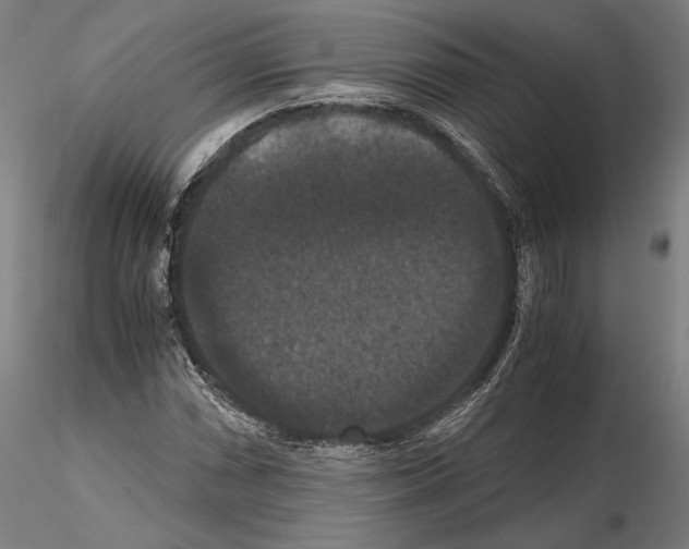 X0000114621066200912010956