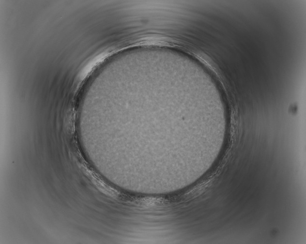 X0000114621067200912010956