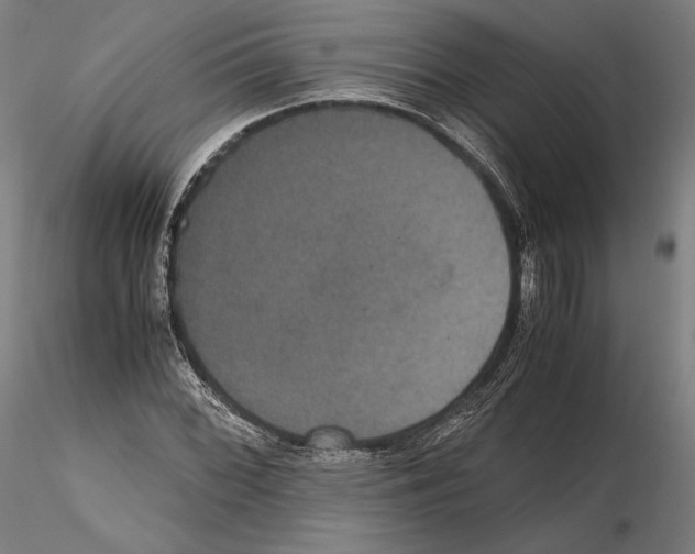 X0000114621068200912010956