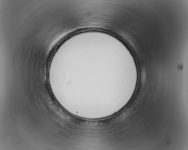 X0000114621069200912010956