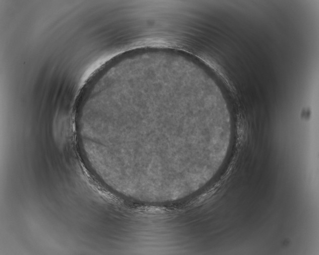 X0000114621070200912010956