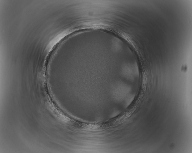 X0000114621071200912010956