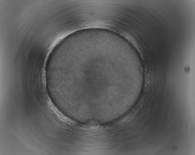 X0000114621072200912010956