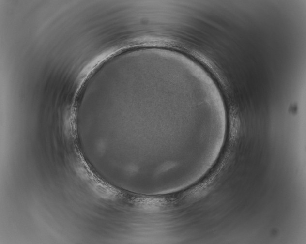 X0000114621074200912010956