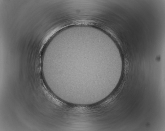 X0000114621075200912010956