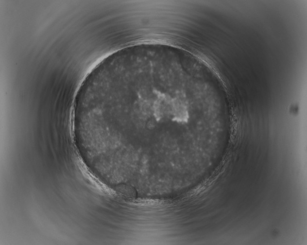 X0000114621076200912010956