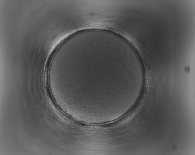 X0000114621077200912010956