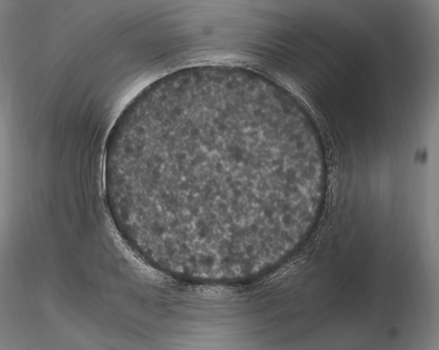 X0000114621079200912010956