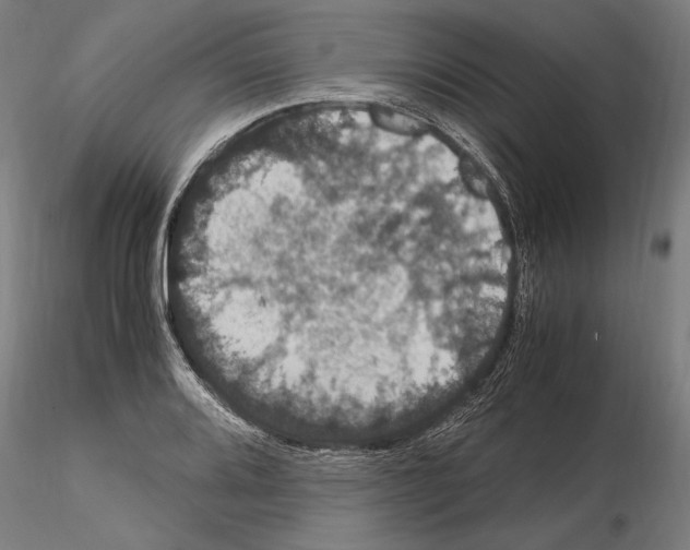 X0000114621080200912010956