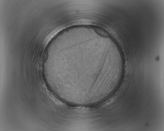 X0000114621081200912010955