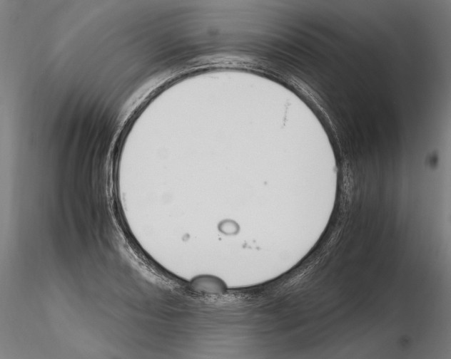 X0000114621082200912010955