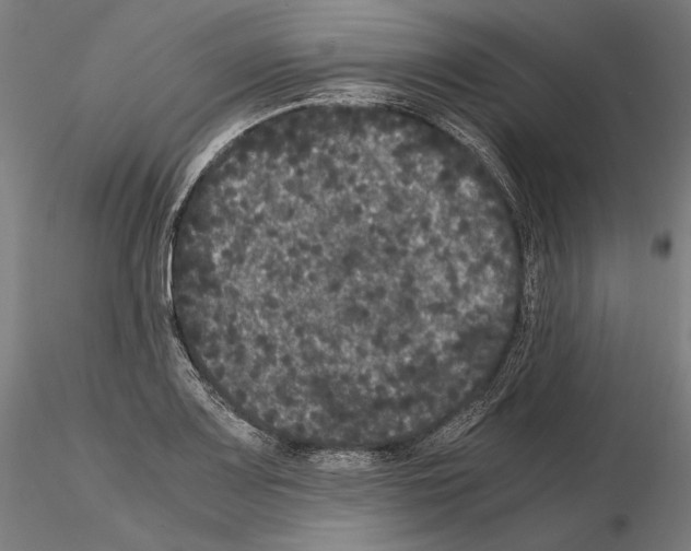 X0000114621083200912010955