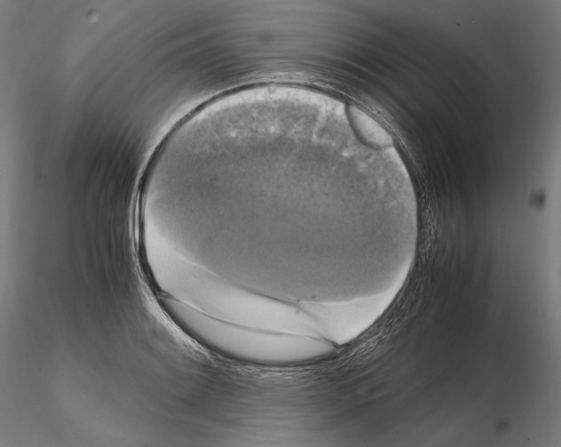 X0000114621084200912010955