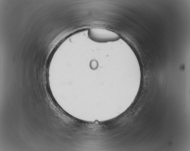 X0000114621085200912010955