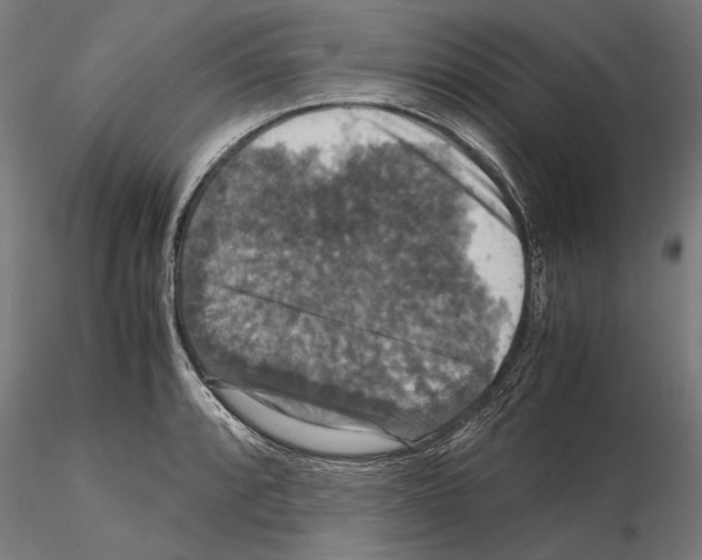 X0000114621088200912010955