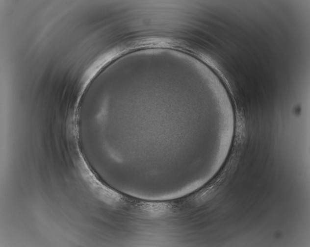 X0000114621090200912010955