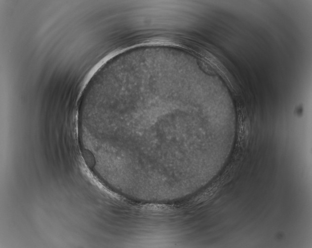 X0000114621092200912010955