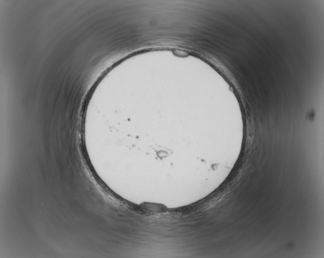 X0000114621093200912010955