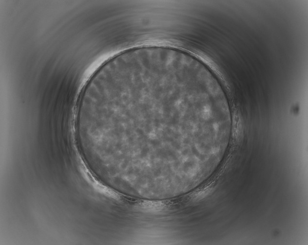 X0000114621094200912010955