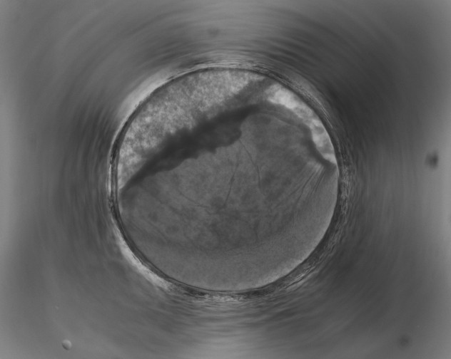 X0000114621095200912010955