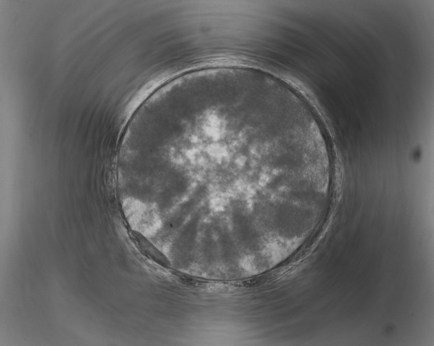 X0000114621097200912010955