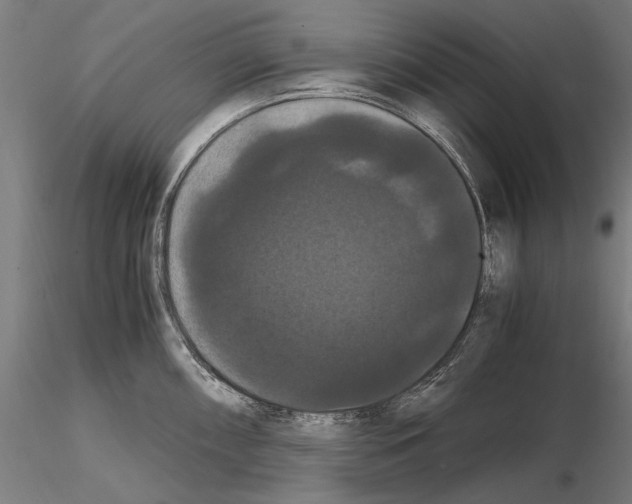 X0000114621098200912010955