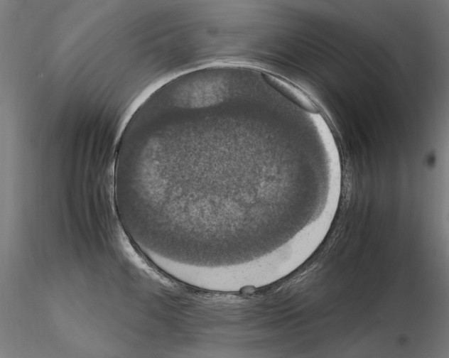 X0000114621100200912010955