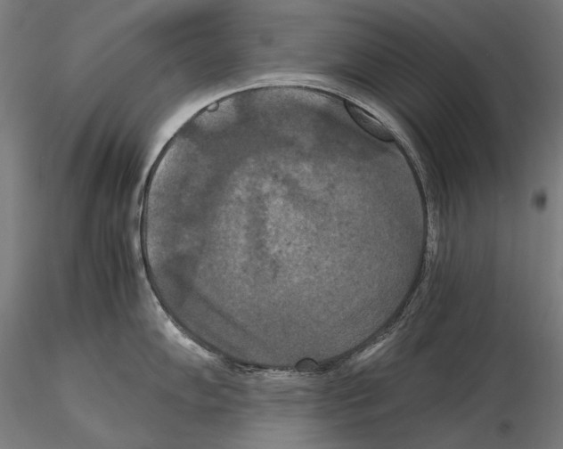 X0000114621102200912010955