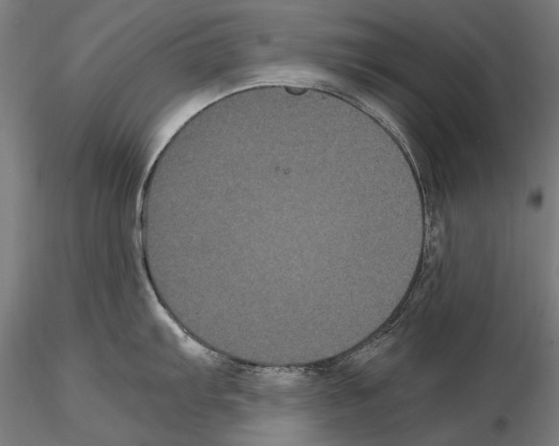 X0000114621103200912010955