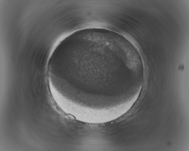 X0000114621104200912010955