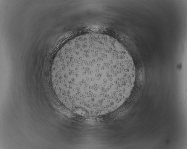 X0000114621105200912010954