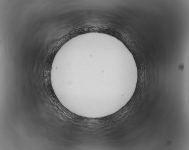 X0000114621109200912010954