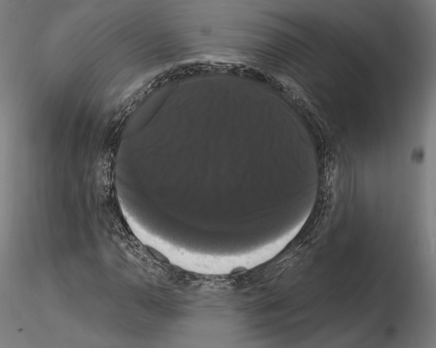 X0000114621110200912010954