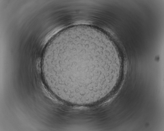 X0000114621113200912010954