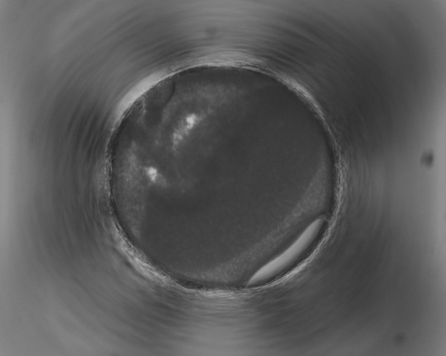 X0000114621114200912010954