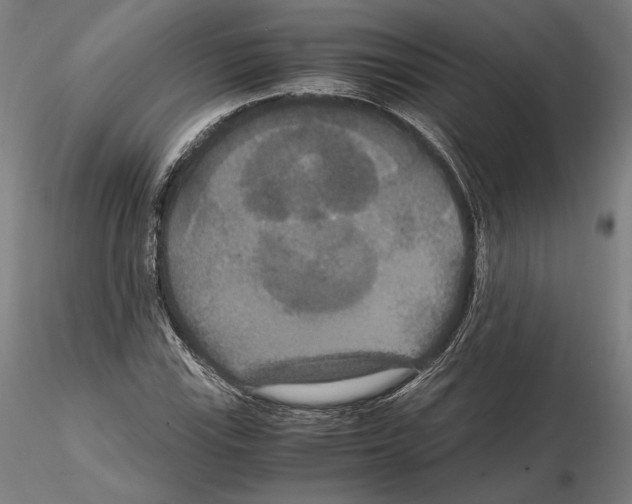 X0000114621115200912010954