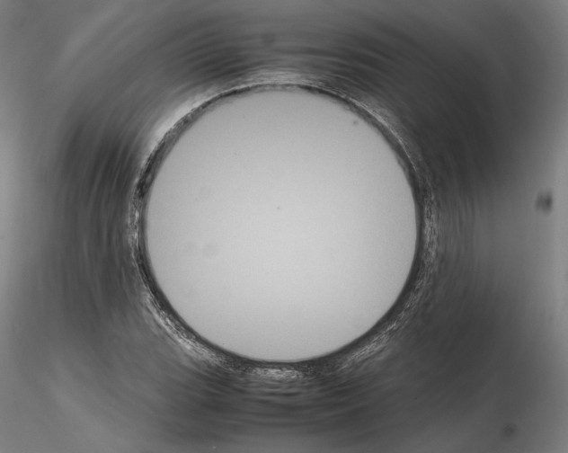 X0000114621119200912010955