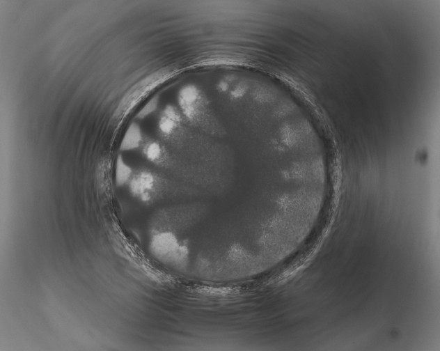 X0000114621121200912010955