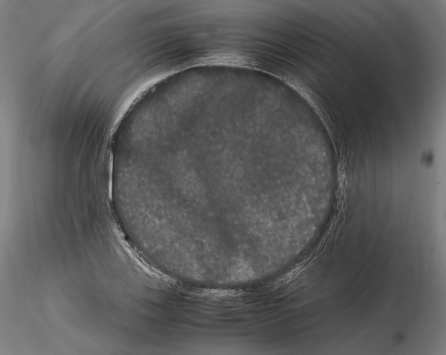 X0000114621123200912010955