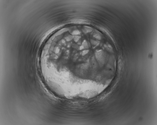 X0000114621125200912010955