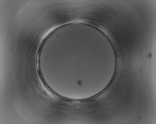 X0000114621127200912010955