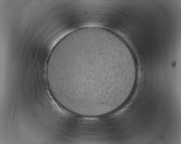 X0000114621129200912010955