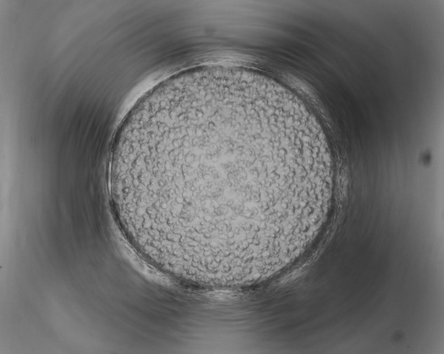 X0000114621130200912010955