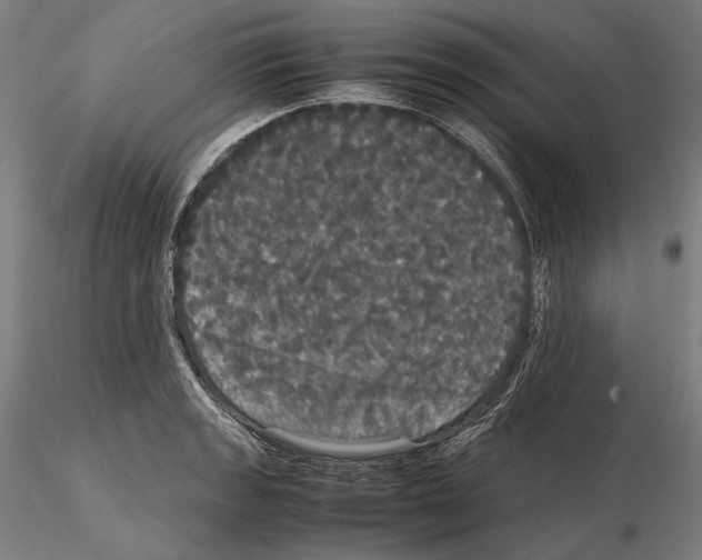 X0000114621133200912010955