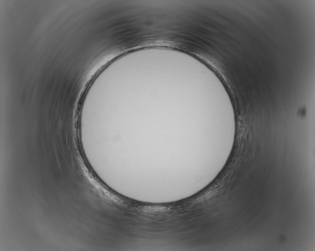 X0000114621135200912010955