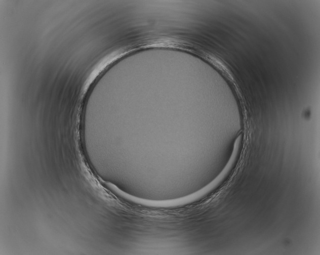 X0000114621138200912010955