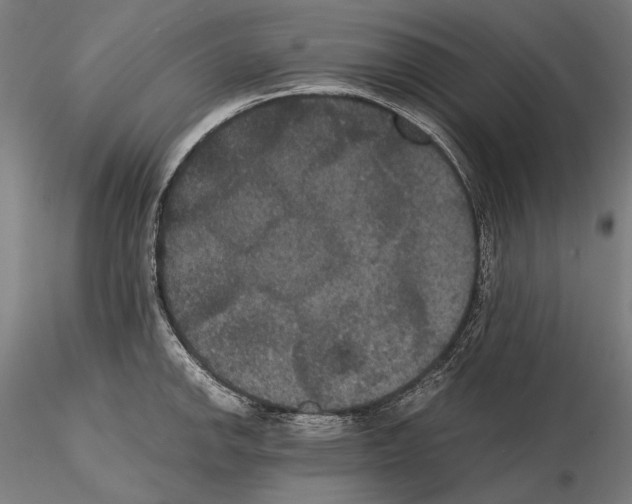 X0000114621142200912010955